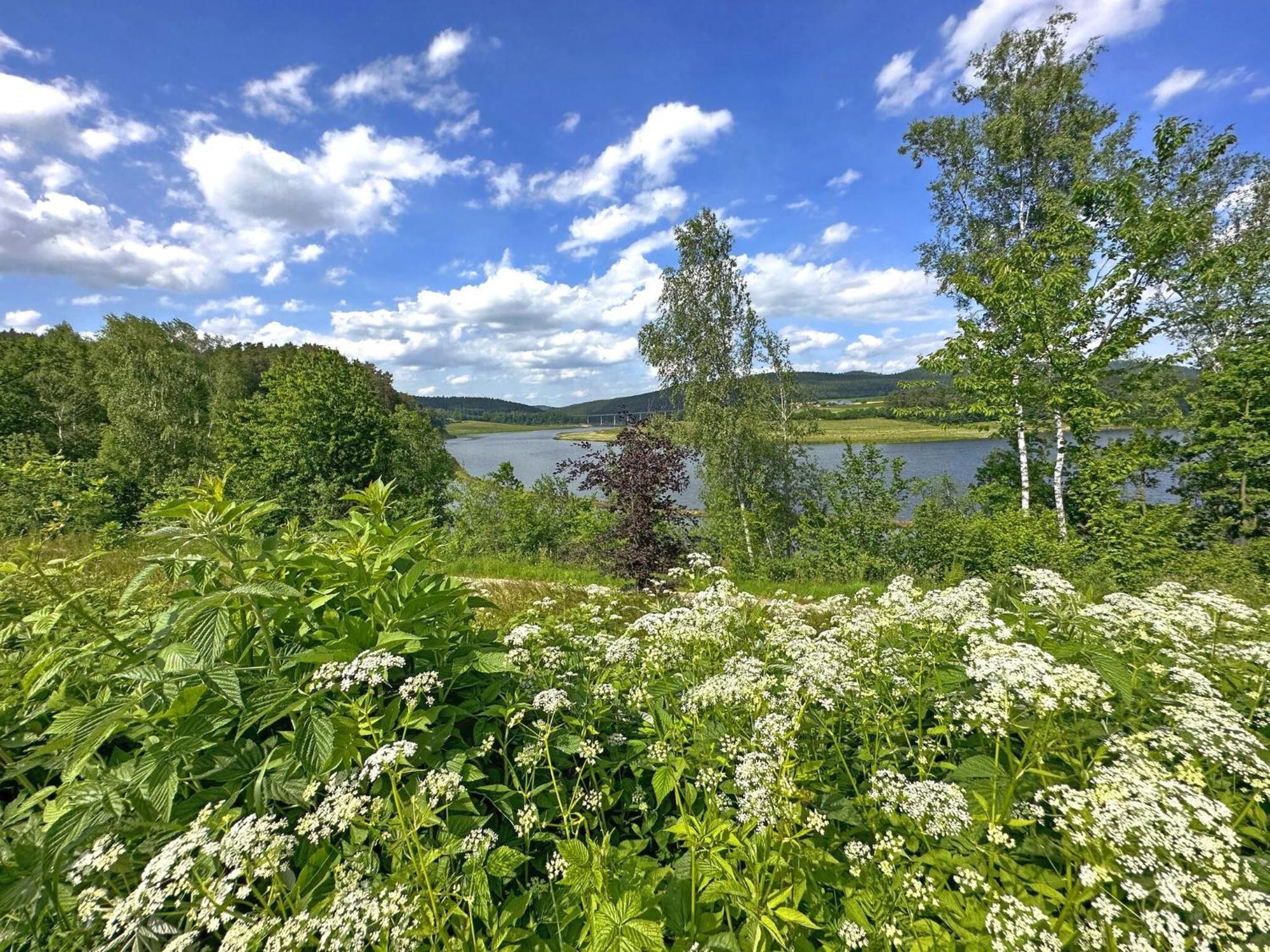 Feriendorf Seeblick - Tinyhouse Direkt Am See Neunburg vorm Wald Esterno foto