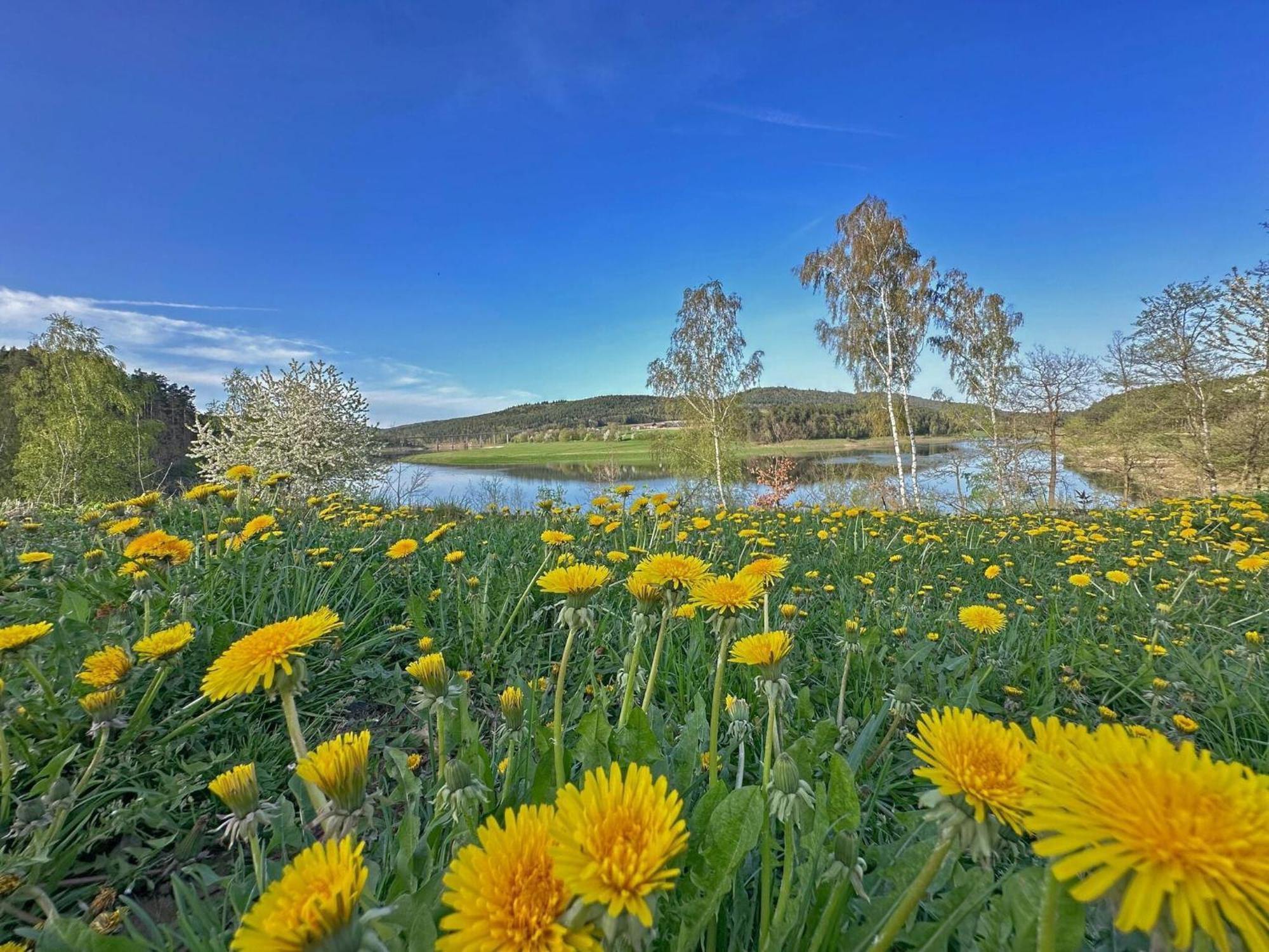 Feriendorf Seeblick - Tinyhouse Direkt Am See Neunburg vorm Wald Esterno foto